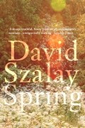 Дэвид Солой - Spring