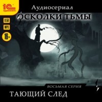Татьяна Котова - Осколки тьмы. Серия 8. Тающий след