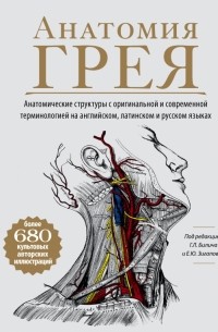  - Анатомия Грея. Анатомические структуры с оригинальной и современной терминологией