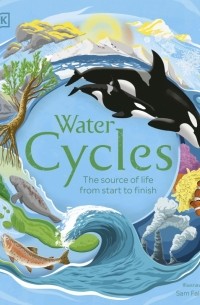  - Water Cycles