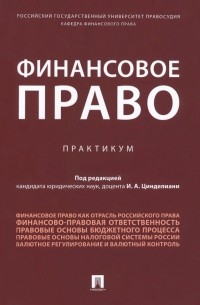  - Финансовое право. Практикум