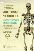 Анатомия человека. Кости туловища и конечностей. Карточки