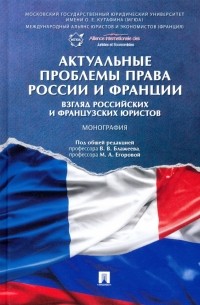  - Актуальные проблемы права России и Франции. Взгляд российских и французских юристов. Монография