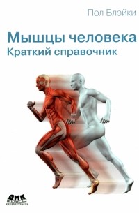 Мышцы человека. Краткий справочник