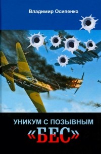 Владимир Осипенко - Уникум с позывным «Бес»