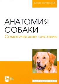  - Анатомия собаки. Соматические системы. Учебник для вузов
