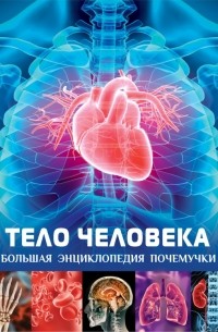 Тело человека