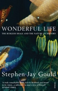 Стивен Джей Гулд - Wonderful Life