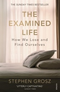 Стивен Гросс - The Examined Life