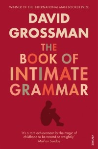 The Book Of Intimate Grammar