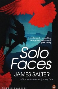 Джеймс Сэлтер - Solo Faces