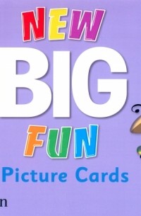  - New Big Fun 3. Picture Cards