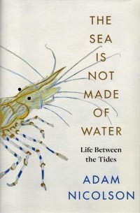 Nicolson Adam - The Sea is Not Made of Water. Life Between the Tides