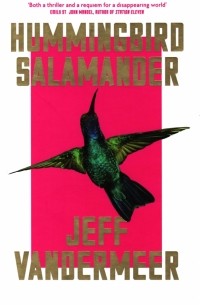 Hummingbird Salamander