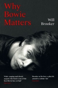 Why Bowie Matters