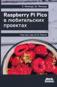 Raspberry Pi Pico в любительских проектах