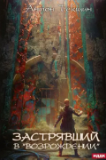 Застрявший. Книга 2. Застрявший в "Возрождении"