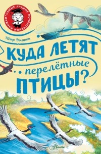 Куда летят перелётные птицы?