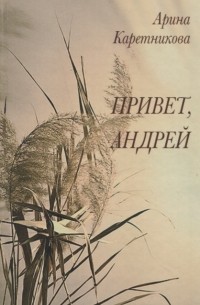 Арина Каретникова - Привет Андрей