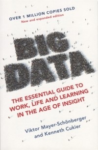 Big Data: The Essential Guide To Work, Life And Learning In The Age Of Insight