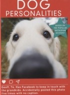 Jono Yates - Dog Personalities