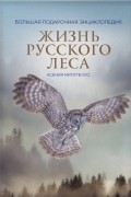 Митителло Ксения Борисовна - Жизнь русского леса Большая подарочная энциклопедия