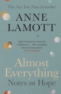 Энн Ламотт - Almost Everything Notes on Hope