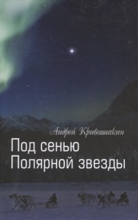 Андрей Кривошапкин - Под сенью Полярной звезды