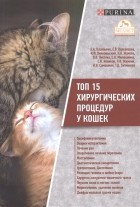  - Топ 15 хирургических процедур у кошек