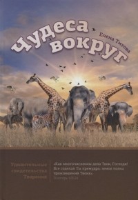 Е. Титова - Чудеса вокруг