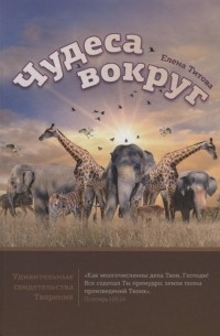 Е. Титова - Чудеса вокруг