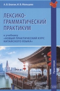  - Лексико-грамматический практикум к учебнику Новый практический курс китайского языка
