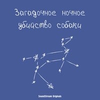 Марк Хэддон - Загадочное ночное убийство собаки