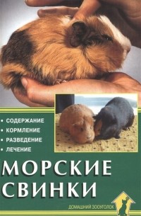 Морские свинки