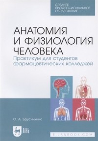 О. А. Брусникина - Анатомия и физиология человека. Практикум для студентов фармацевтических колледжей