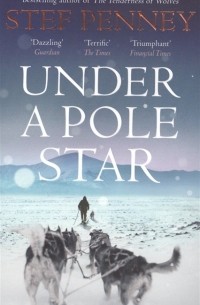 Under a Pole Star