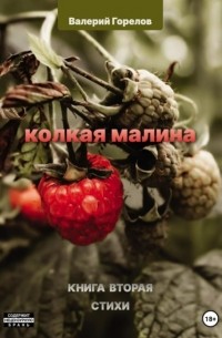 Валерий Николаевич Горелов - Колкая малина. Книга вторая