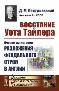 Дмитрий Петрушевский - Восстание Уота Тайлера. Очерки из истории разложения феодального строя в Англии