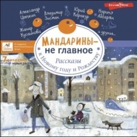 Артём Гаямов - Мандарины — не главное. Рассказы к Новому году и Рождеству (сборник)