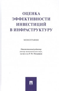 Оценка эффективности инвестиций в инфраструктуру. Монография