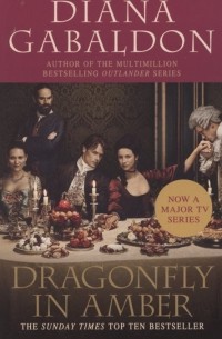 Dragonfly in Amber