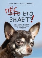 Александра Александрова - Пёс его знает! Что в голове у собаки, и как понять причины ее поведения