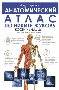 Никита Жуков - Популярный анатомический атлас по Никите Жукову: кости и мышцы. Инсайты и интересные факты