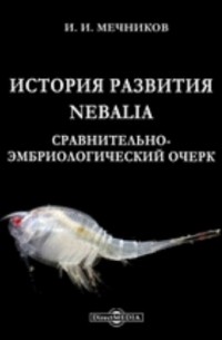 Илья Мечников - История развития Nebalia