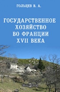 Вадим Гольцев - Государственное хозяйство во Франции XVII века