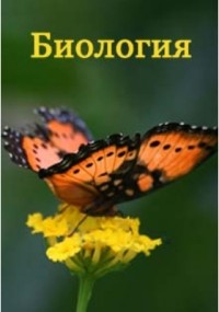  - Биоэнергетика: энергетические возможности биомассы