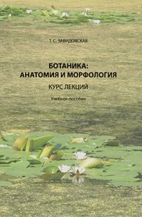 Завидовская Т. С. - Ботаника : анатомия и морфология