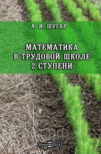 Математика в трудовой школе 2 ступени