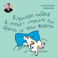 Настя Бобкова - Взрослая собака в семье: стоит ли брать и чего ждать