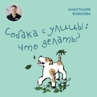 Настя Бобкова - Собака с улицы: что делать?
